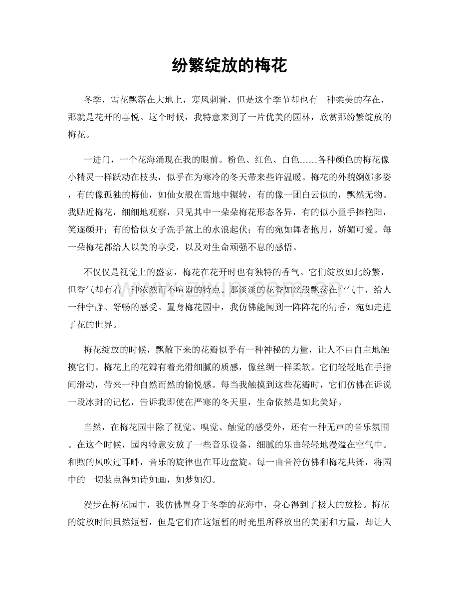 纷繁绽放的梅花.docx_第1页