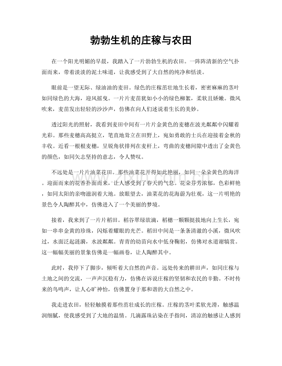 勃勃生机的庄稼与农田.docx_第1页