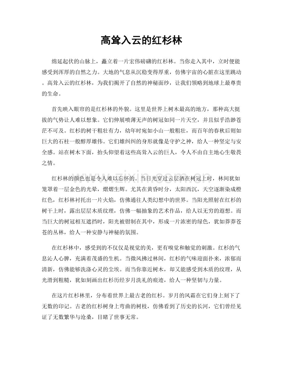 高耸入云的红杉林.docx_第1页