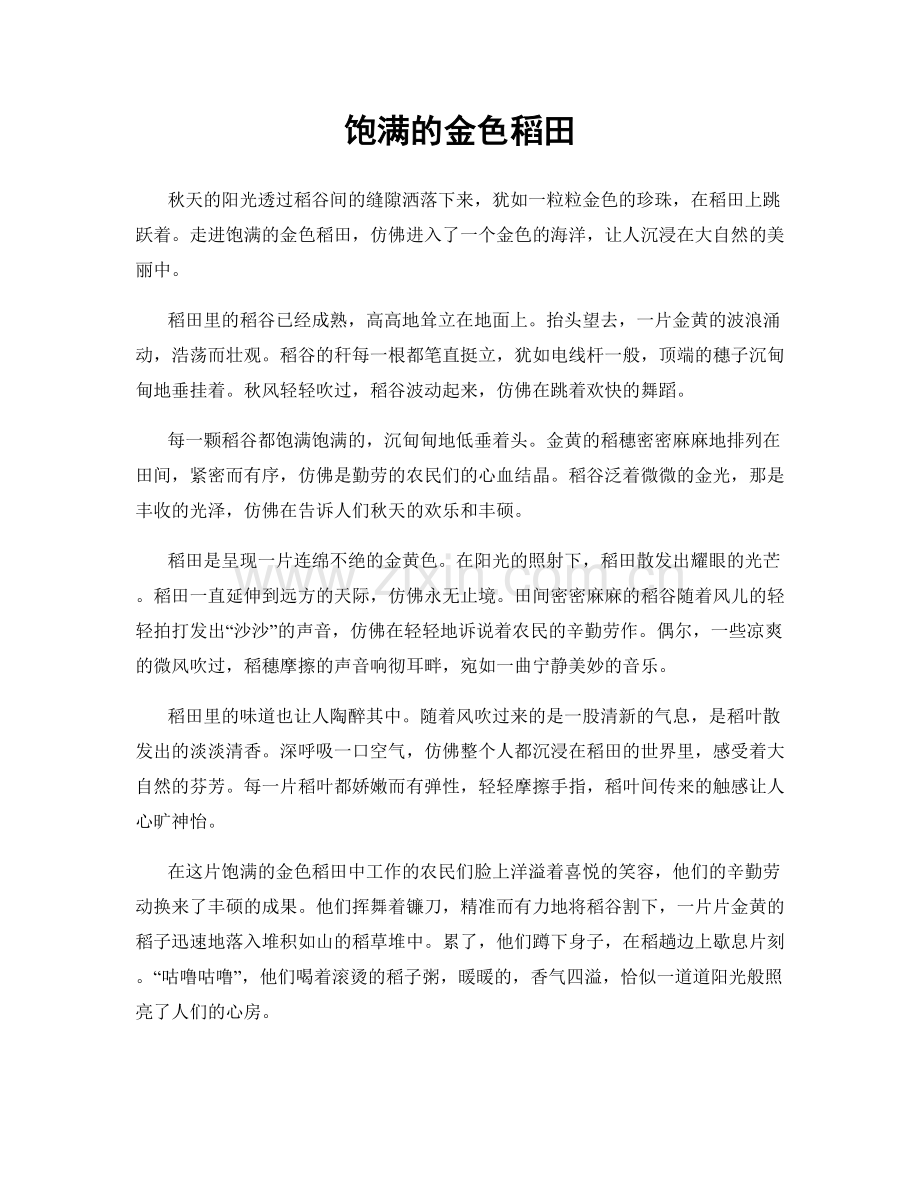 饱满的金色稻田.docx_第1页