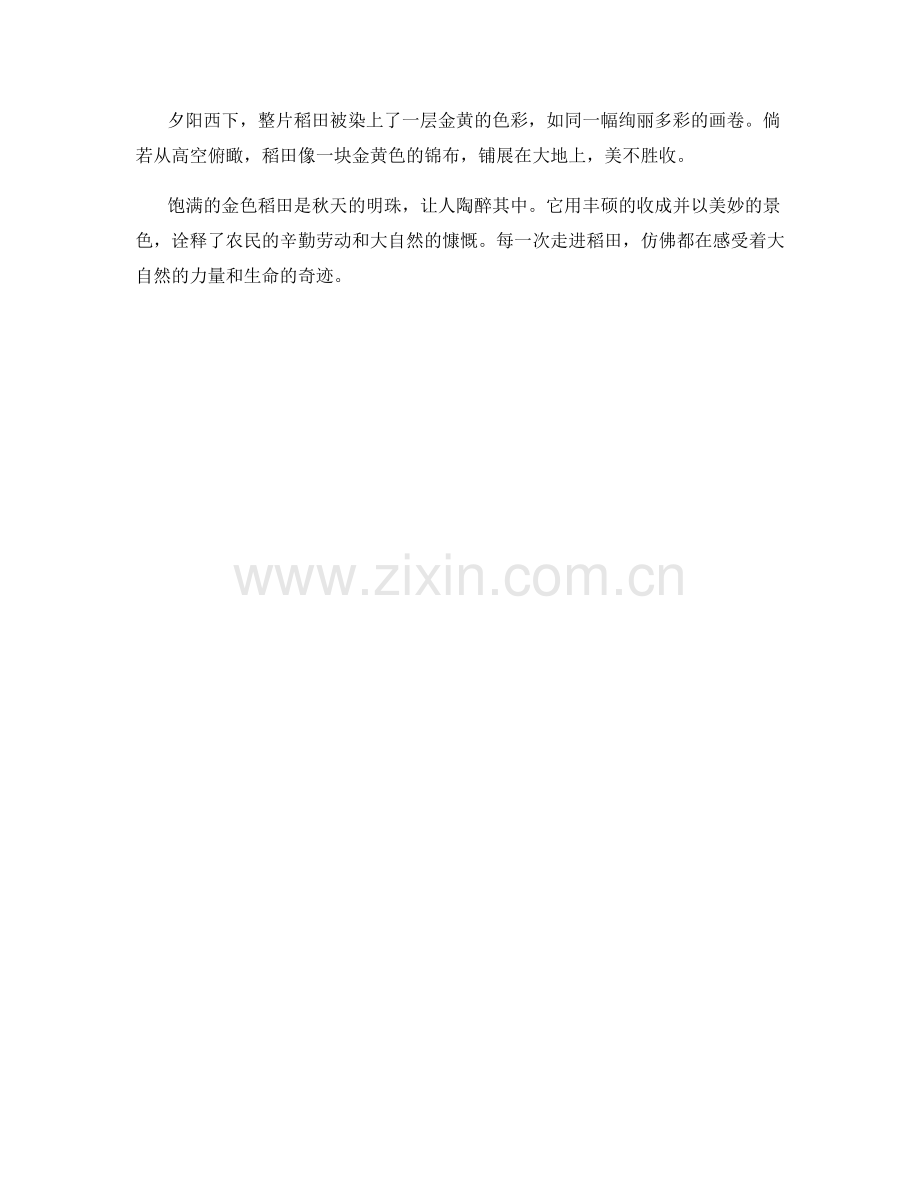 饱满的金色稻田.docx_第2页