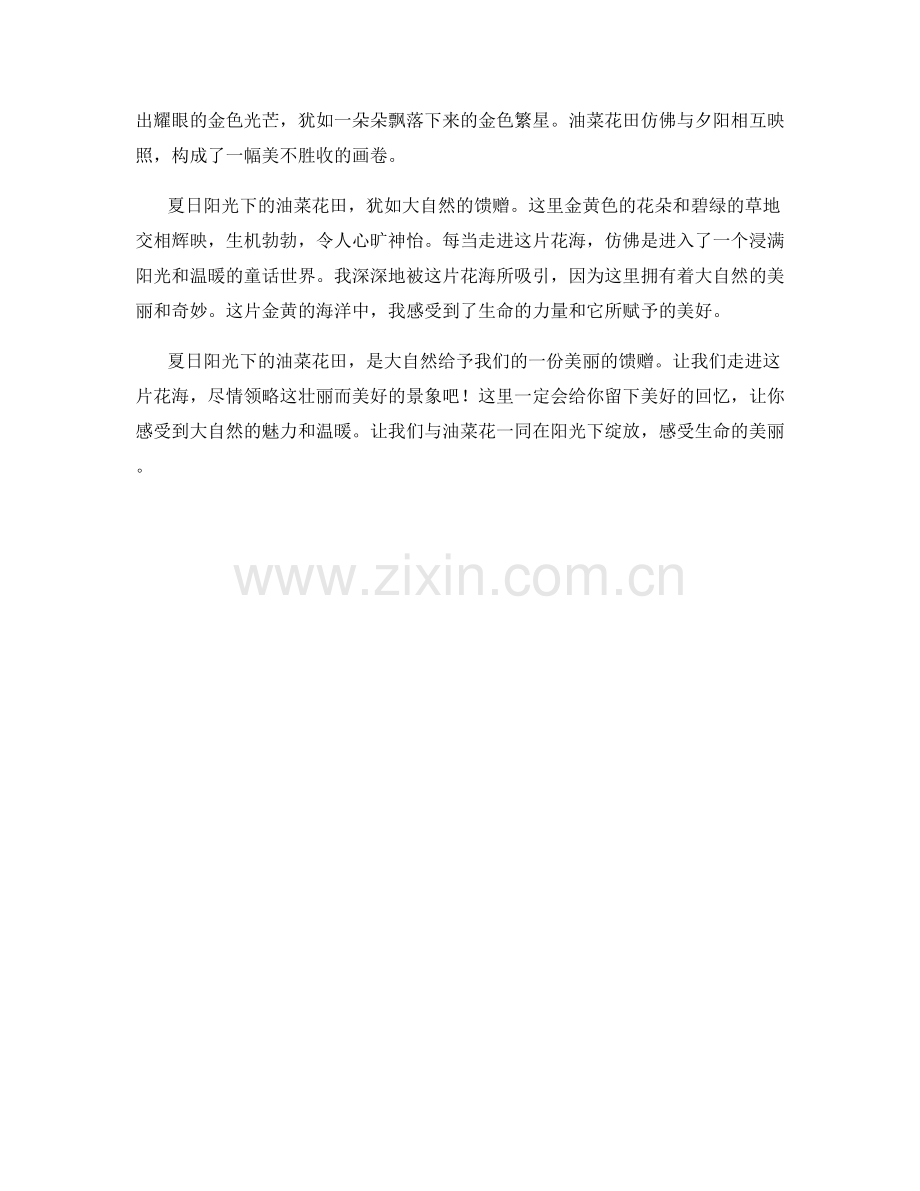 夏日阳光下的油菜花田.docx_第2页