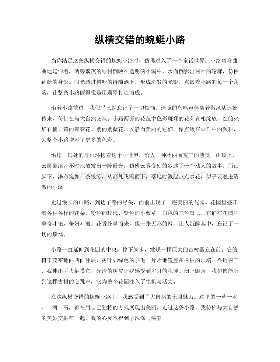 纵横交错的蜿蜓小路.docx_第1页