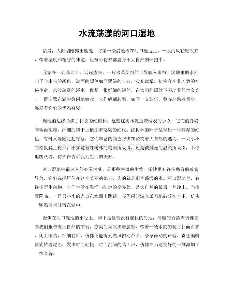 水流荡漾的河口湿地.docx_第1页