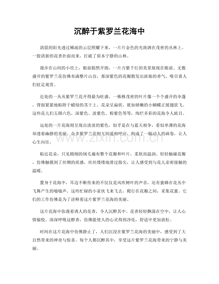 沉醉于紫罗兰花海中.docx_第1页
