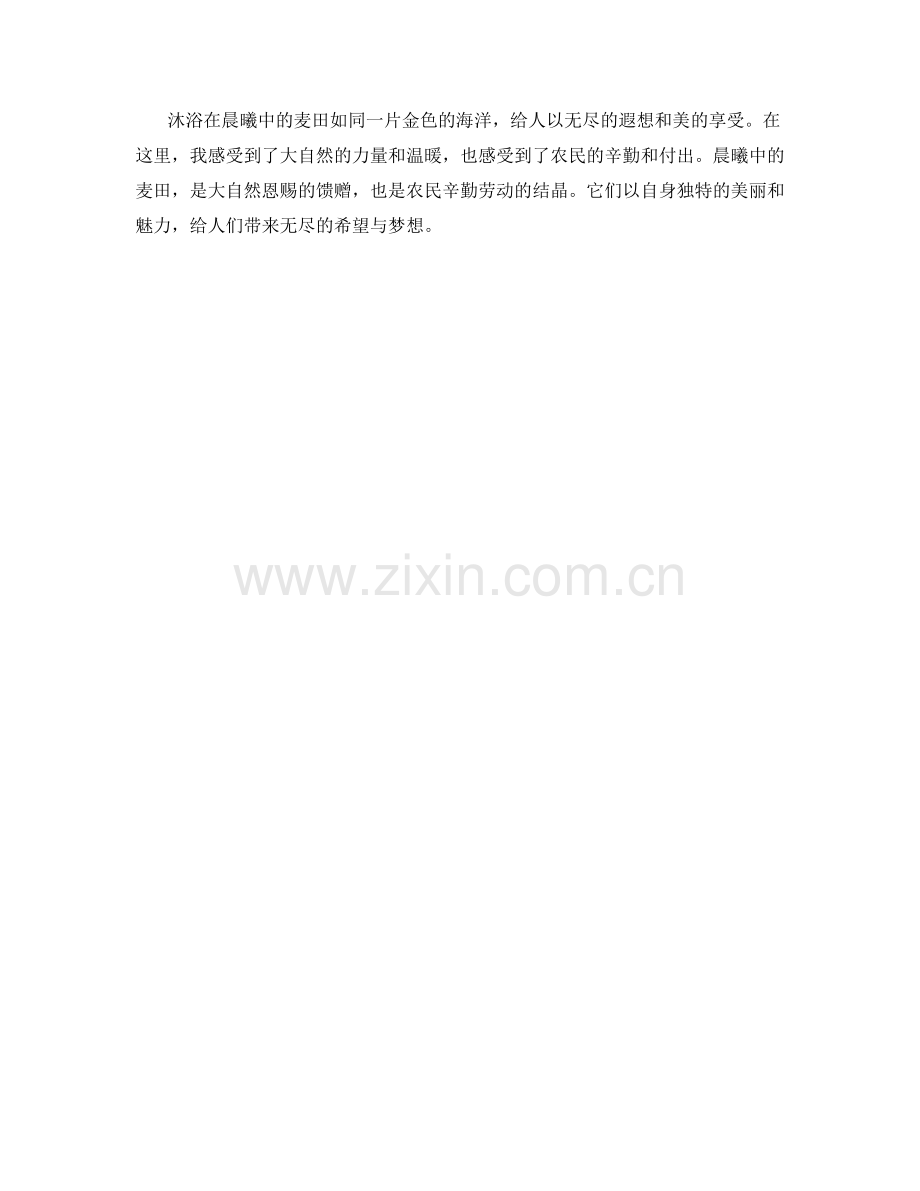 晨曦中的麦田.docx_第2页