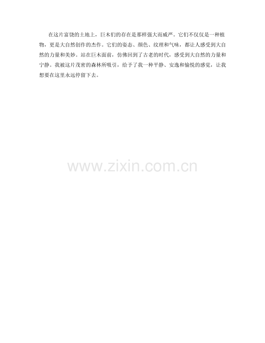 雄伟的森林之王巨木.docx_第2页