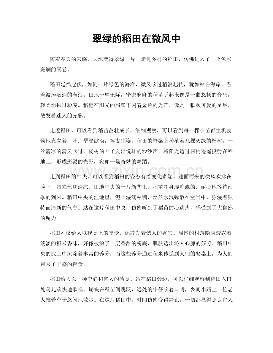 翠绿的稻田在微风中.docx_第1页