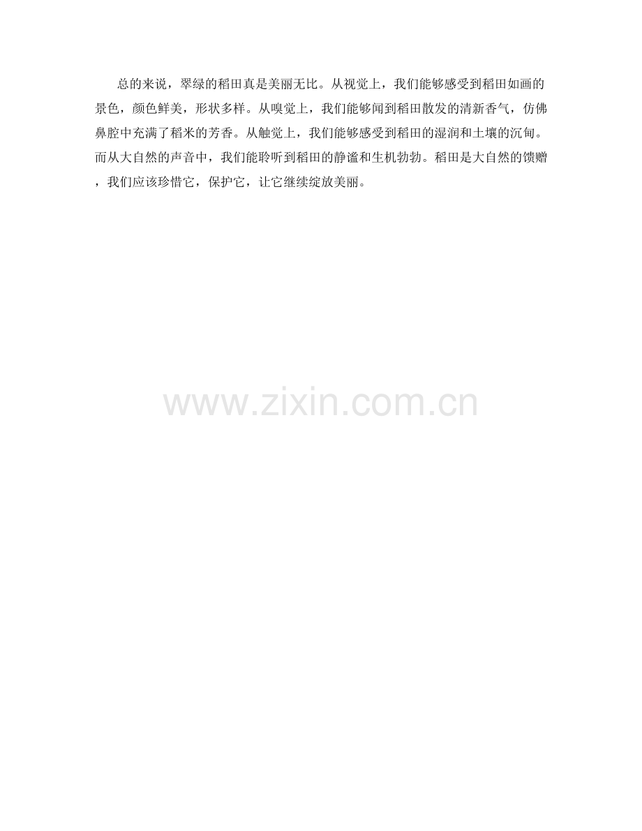翠绿的稻田在微风中.docx_第2页