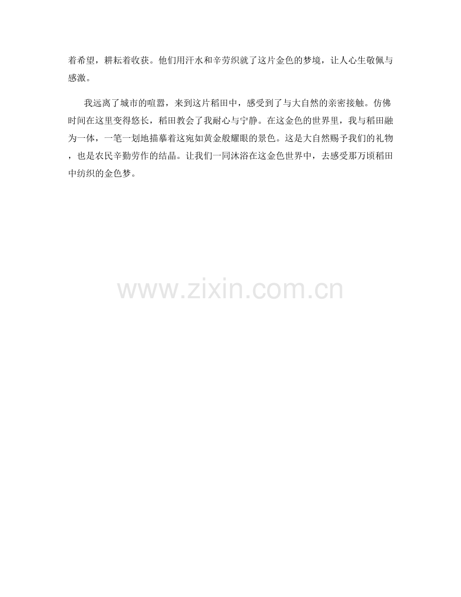 万顷稻田中纺织的金色梦.docx_第2页