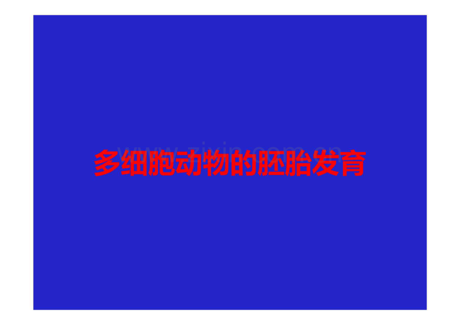 多细胞动物的胚胎发育.pdf_第1页