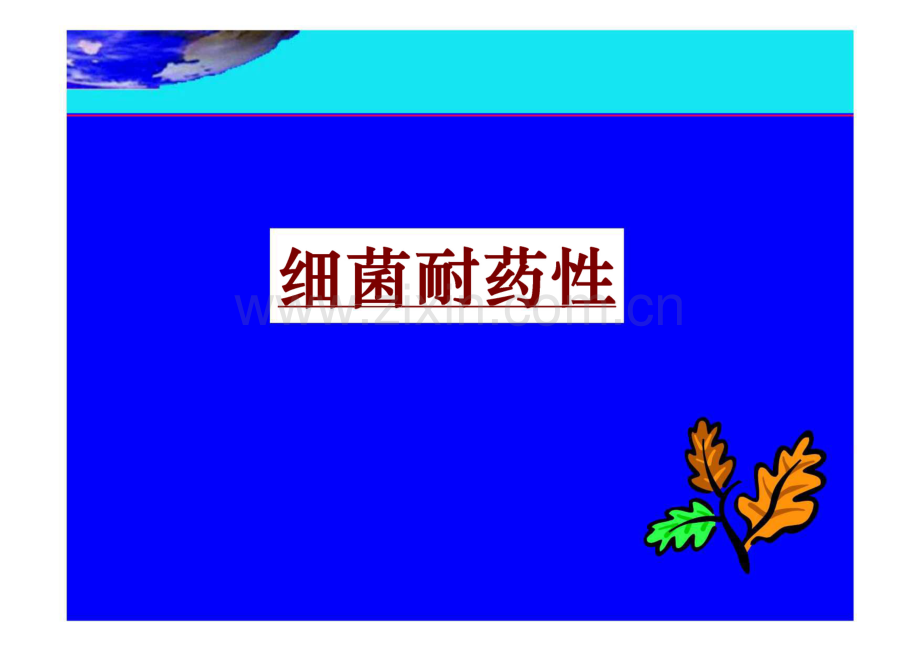 [医科]细菌耐药性.pdf_第1页