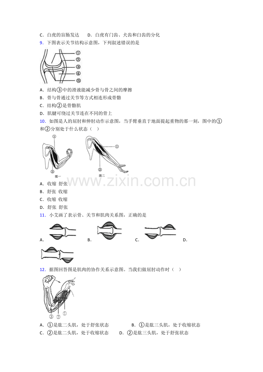 生物八年级上册期末质量检测试题含答案.doc_第2页
