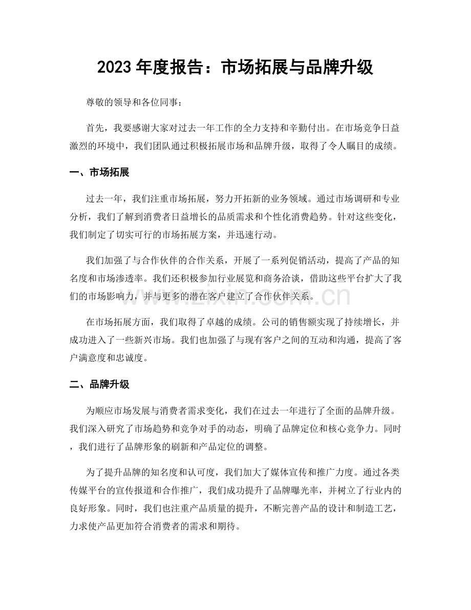 2023年度报告：市场拓展与品牌升级.docx_第1页