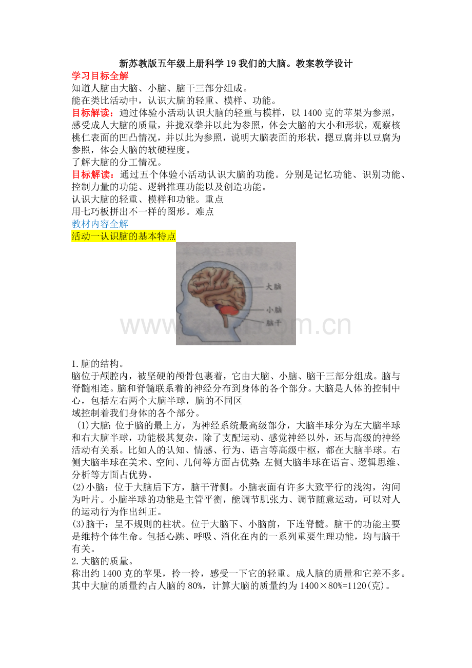 新苏教版五年级上册科学19我们的大脑教案教学设计.docx_第1页