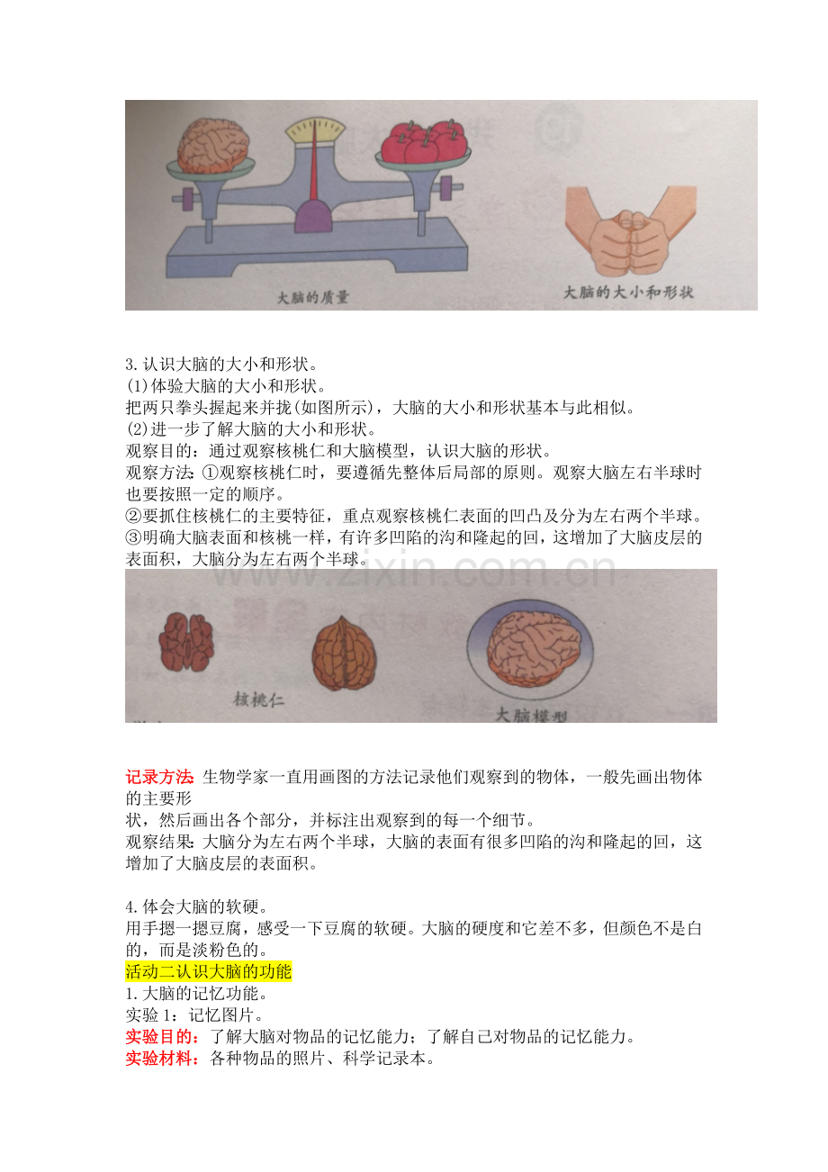 新苏教版五年级上册科学19我们的大脑教案教学设计.docx_第2页