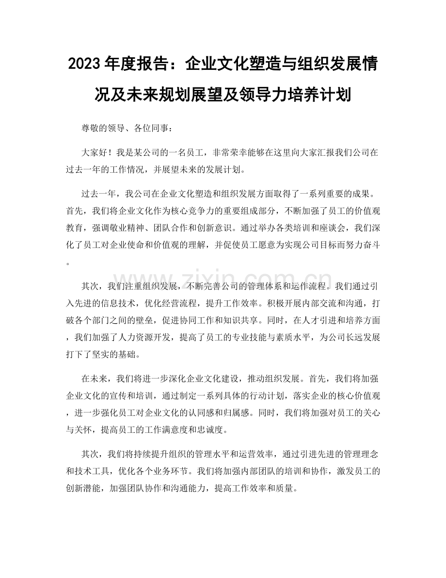 2023年度报告：企业文化塑造与组织发展情况及未来规划展望及领导力培养计划.docx_第1页