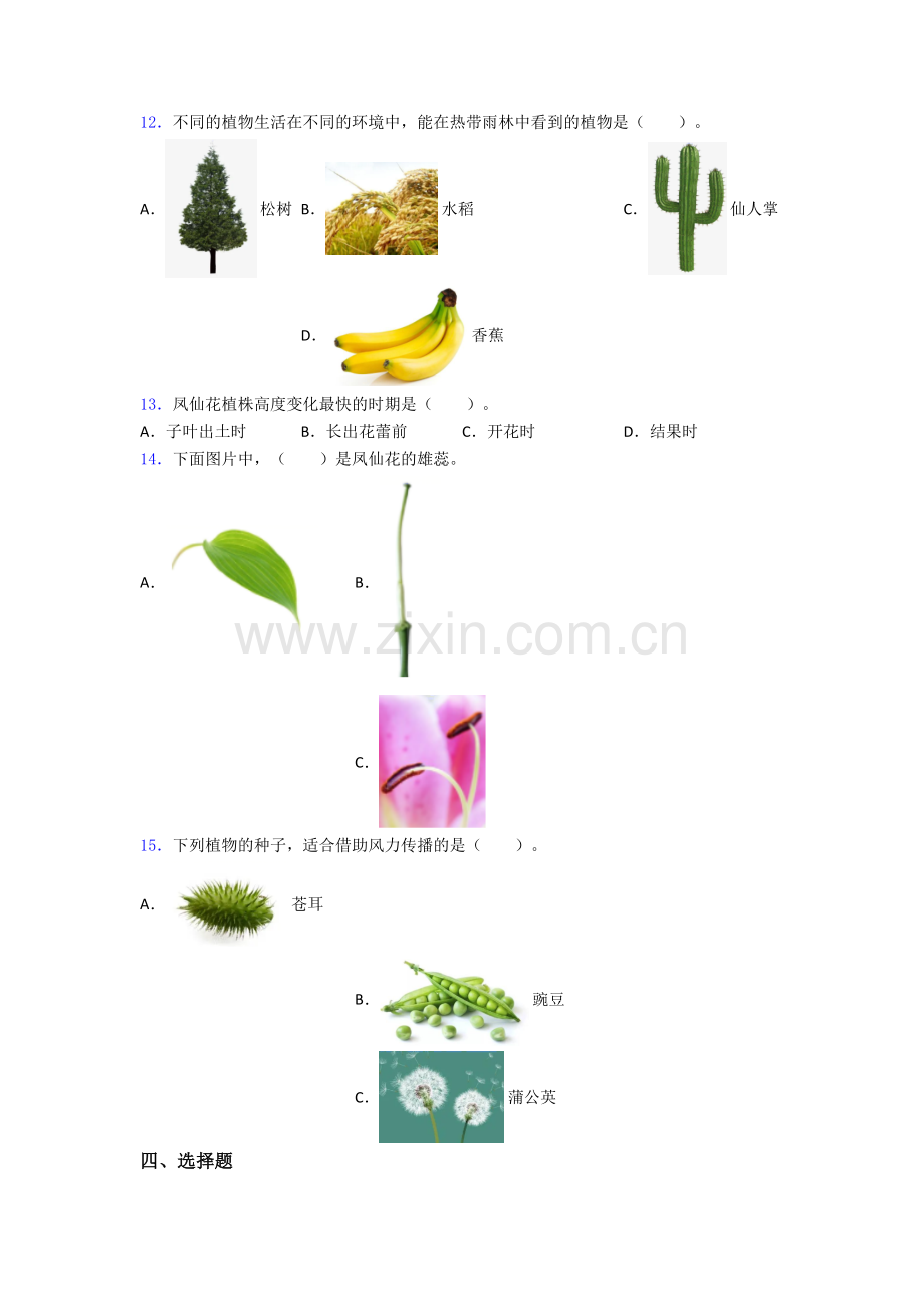教科版四年级下册科学期末试卷测试卷(含答案解析).doc_第2页