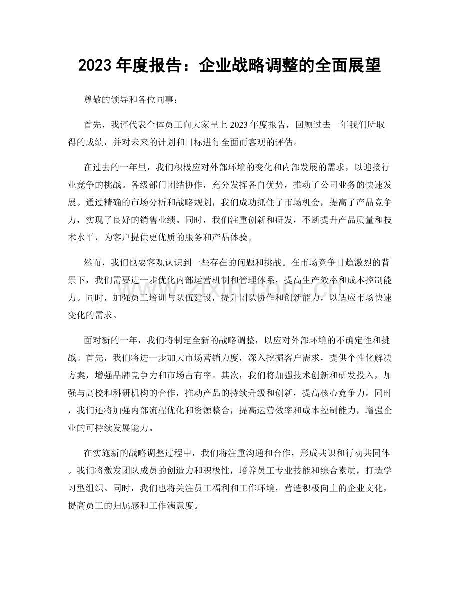 2023年度报告：企业战略调整的全面展望.docx_第1页