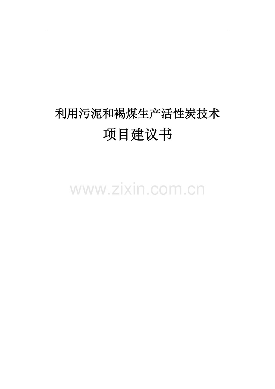 利用污泥和褐煤生产活性炭技术可行性分析报告.doc_第1页