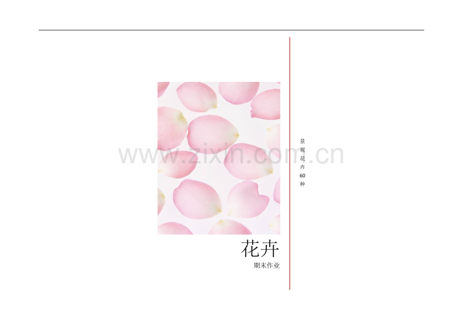 景观花卉60种.doc_第1页