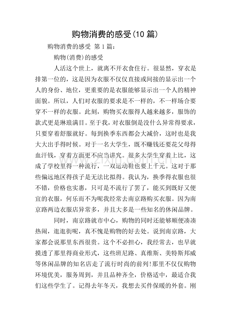 购物消费的感受(10篇).doc_第1页