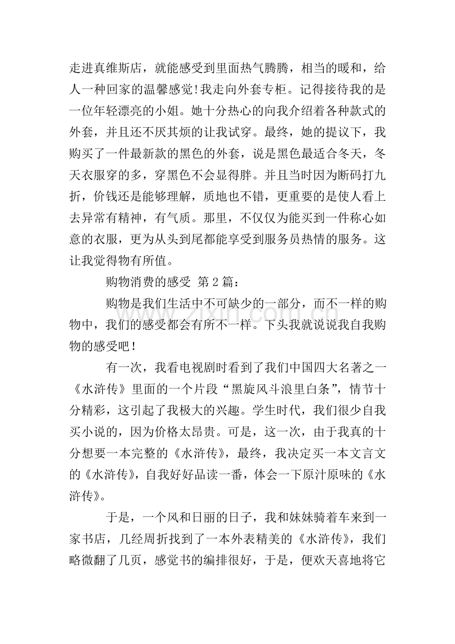 购物消费的感受(10篇).doc_第2页