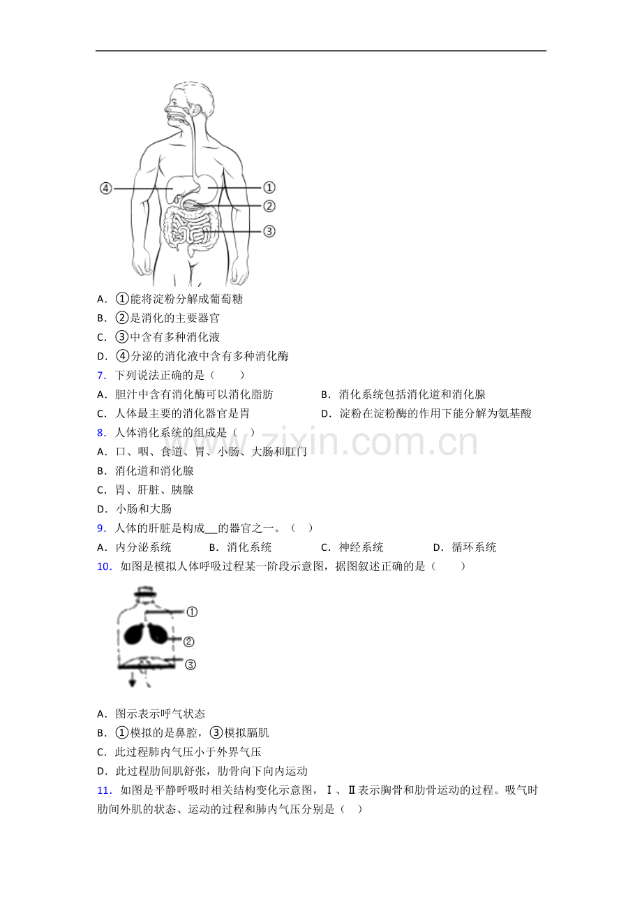 重庆市七年级下册期中生物期中试卷(带答案).doc_第2页