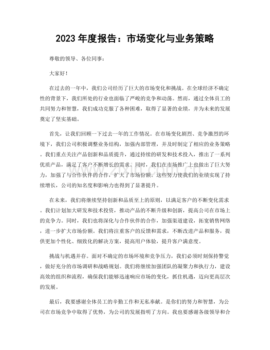 2023年度报告：市场变化与业务策略.docx_第1页