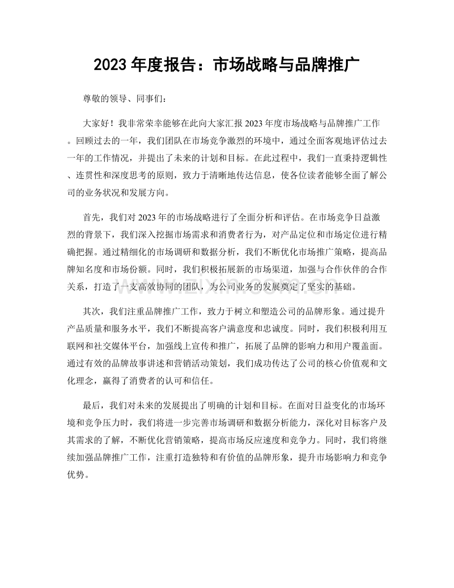 2023年度报告：市场战略与品牌推广.docx_第1页