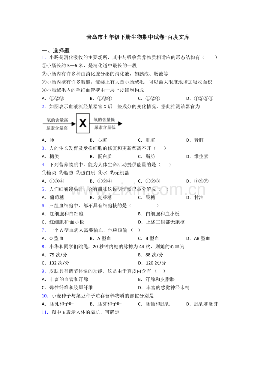 青岛市七年级下册生物期中试卷.doc_第1页