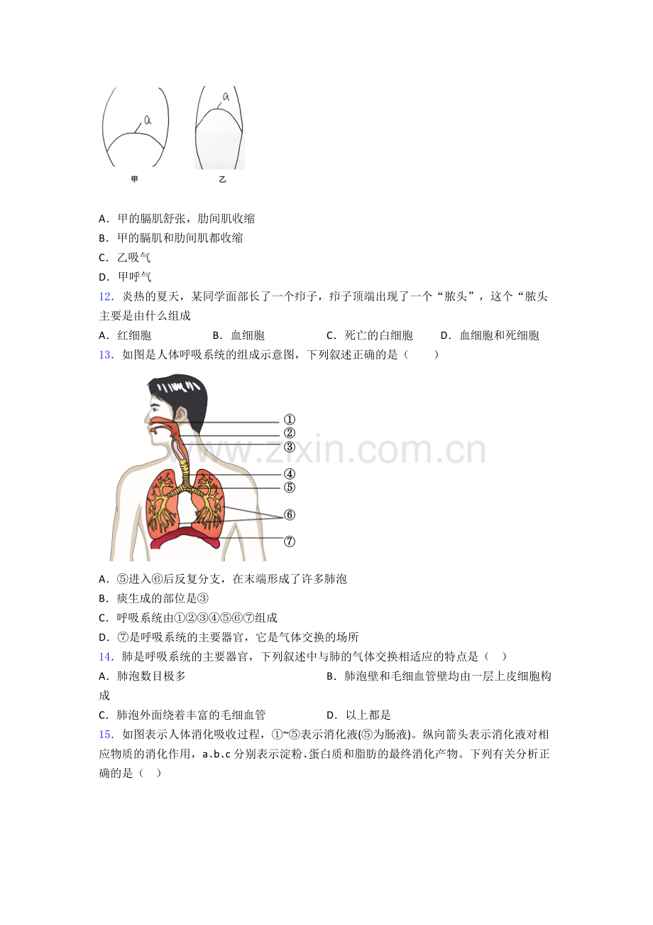 青岛市七年级下册生物期中试卷.doc_第2页