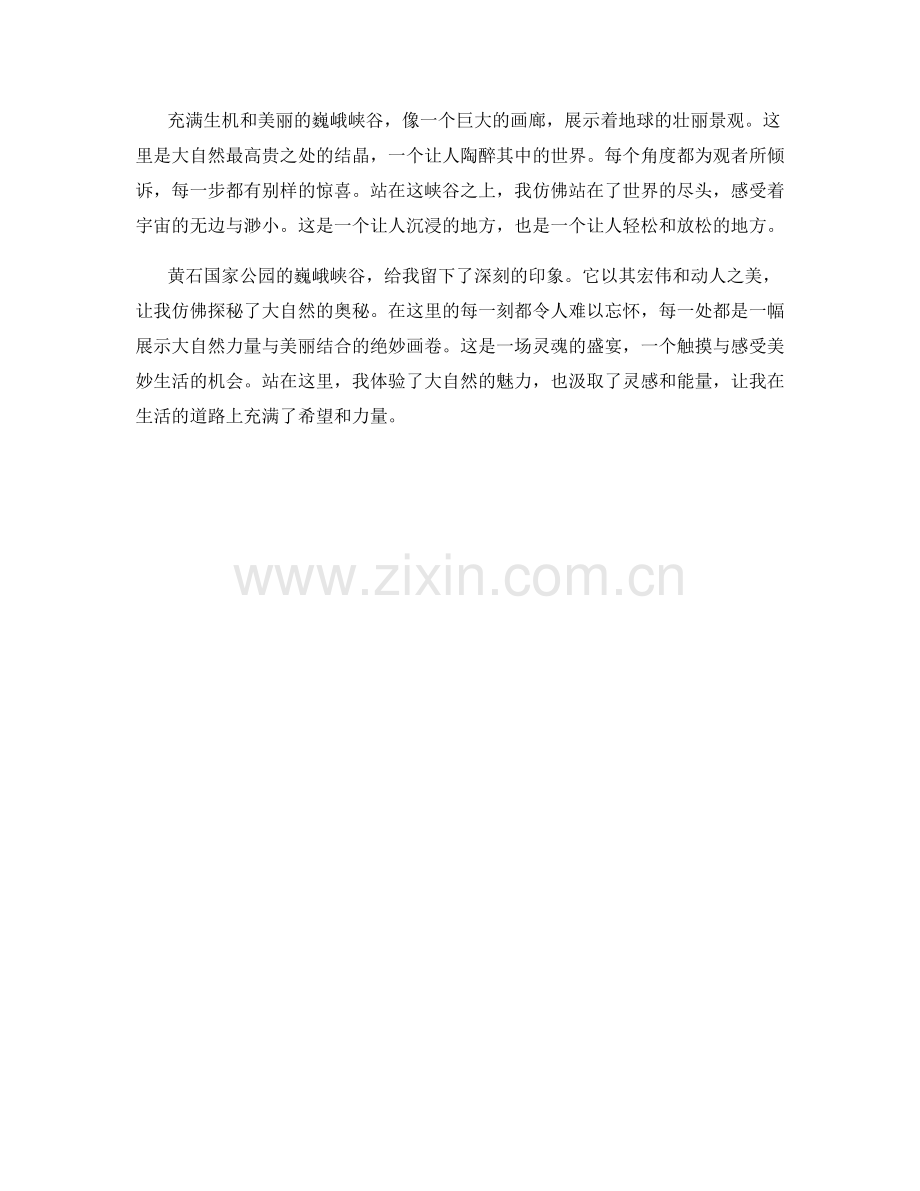 一览无余的巍峨峡谷.docx_第2页