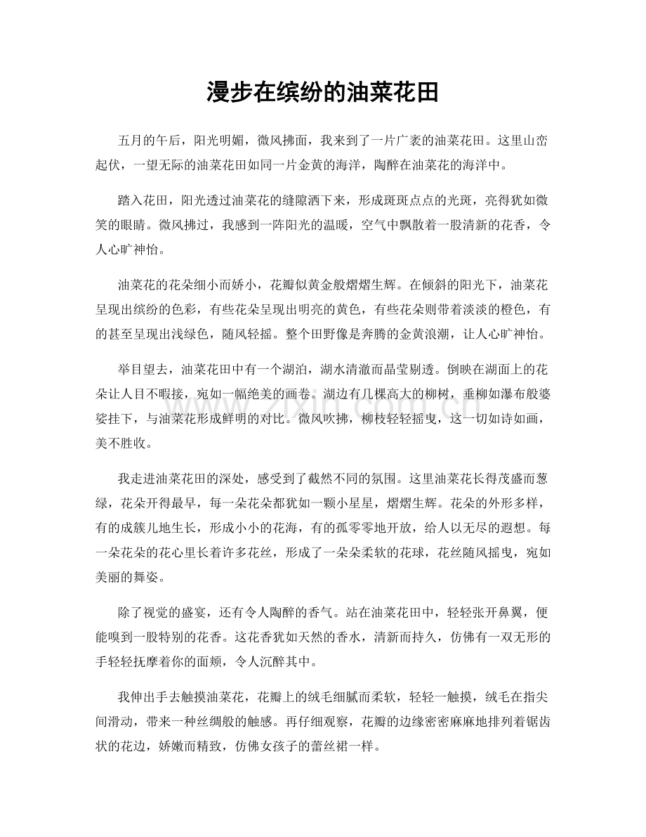 漫步在缤纷的油菜花田.docx_第1页