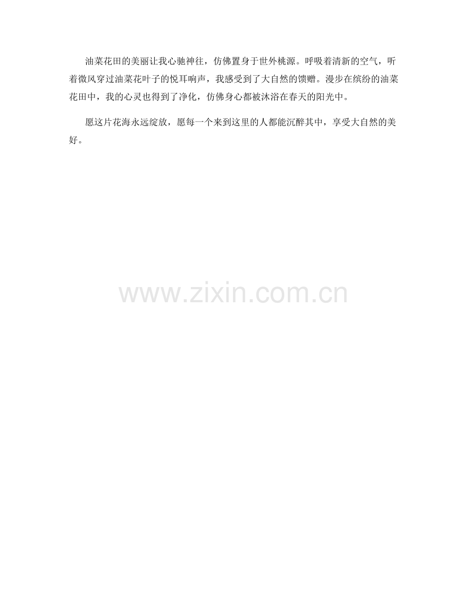 漫步在缤纷的油菜花田.docx_第2页