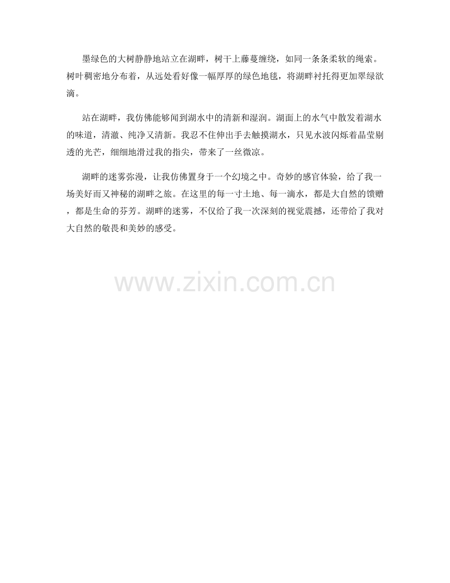 迷雾弥漫的湖畔.docx_第2页