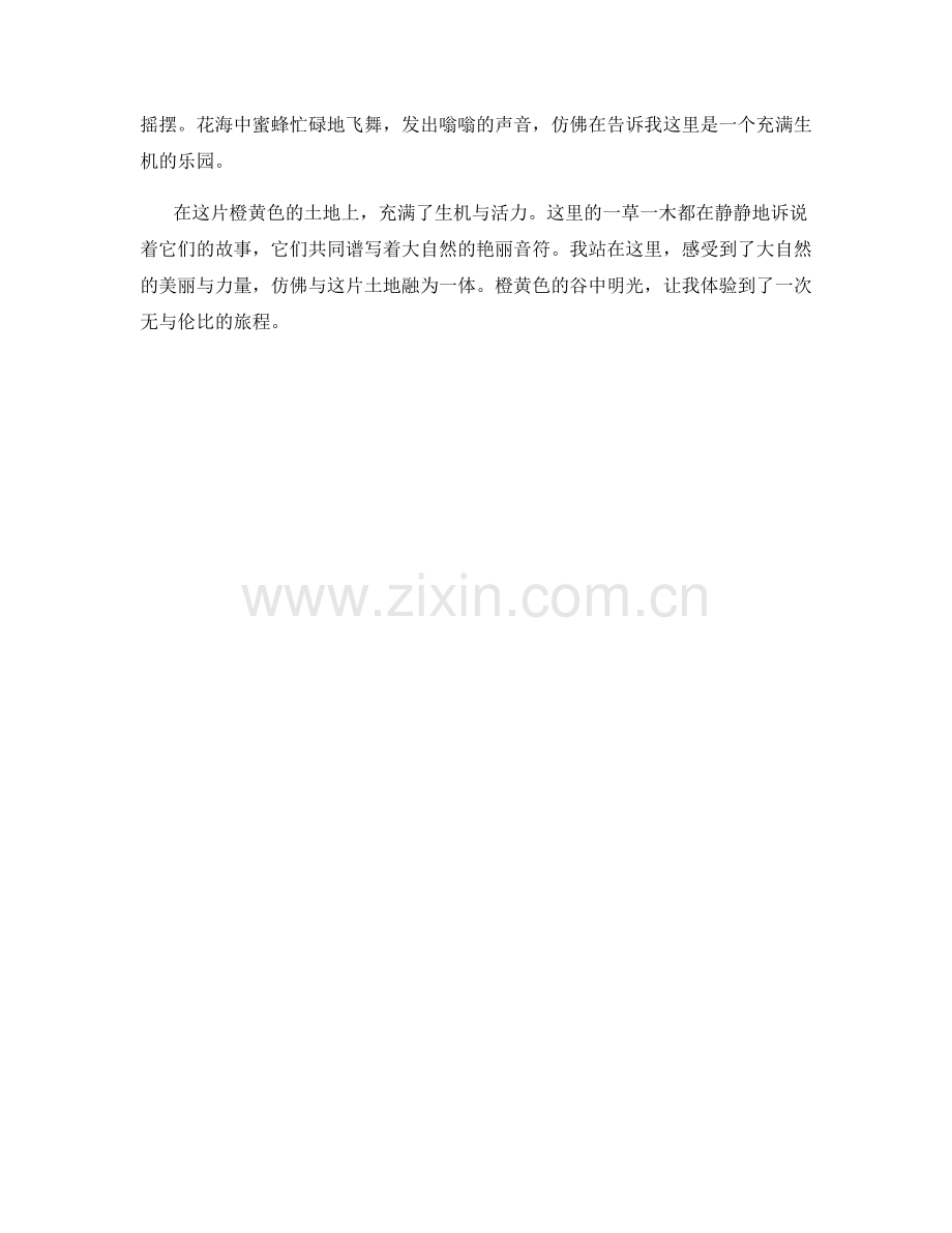 橙黄色的谷中明光.docx_第2页