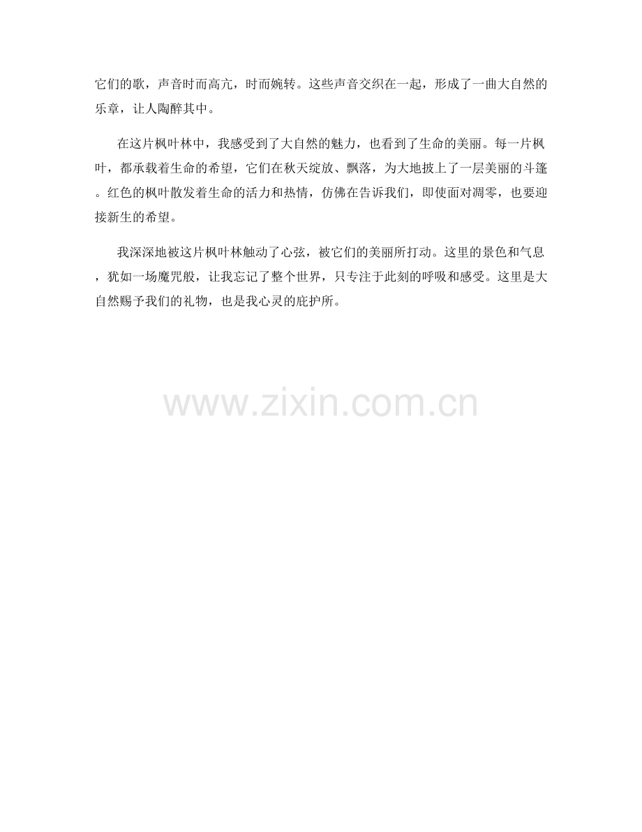 触动心弦的枫叶林.docx_第2页