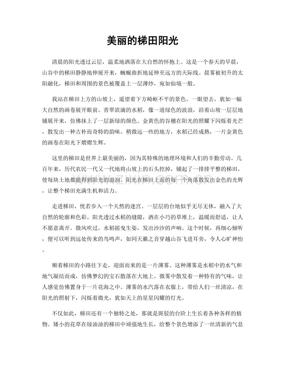 美丽的梯田阳光.docx_第1页