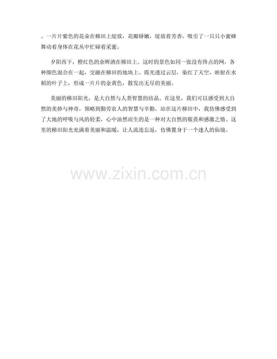 美丽的梯田阳光.docx_第2页