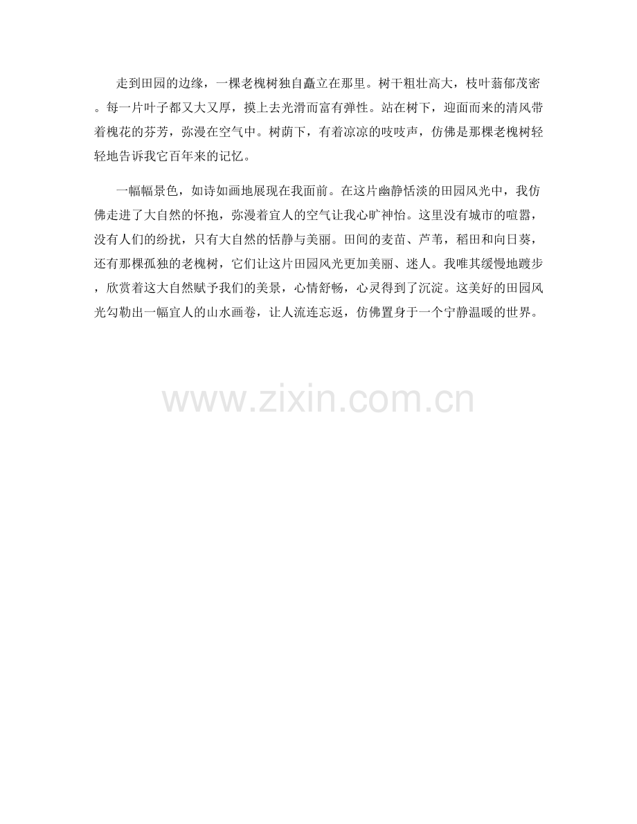 幽静恬淡的田园风光.docx_第2页