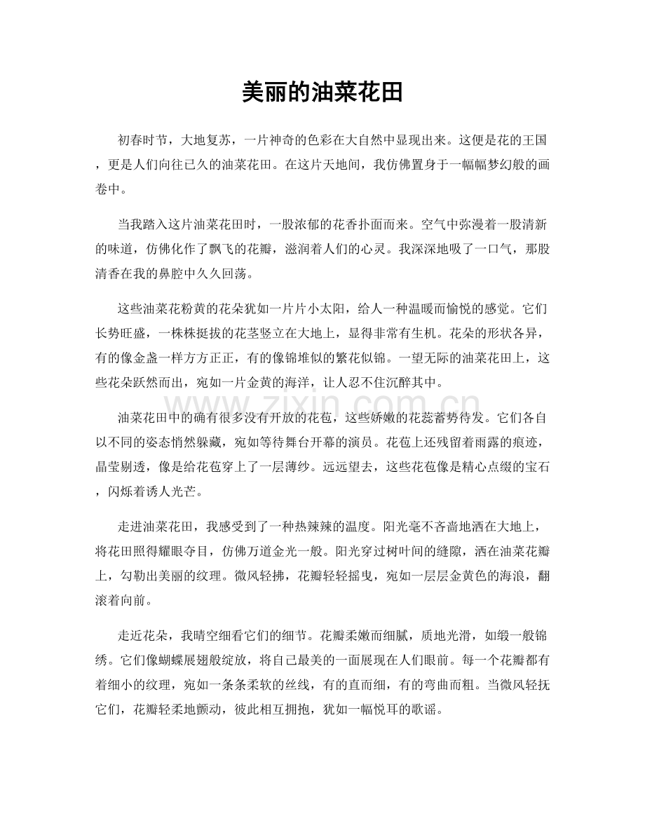美丽的油菜花田.docx_第1页