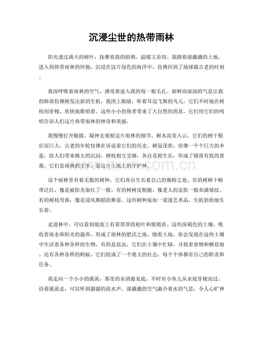 沉浸尘世的热带雨林.docx_第1页