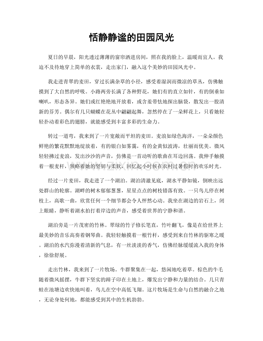 恬静静谧的田园风光.docx_第1页