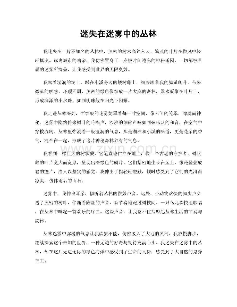 迷失在迷雾中的丛林.docx_第1页
