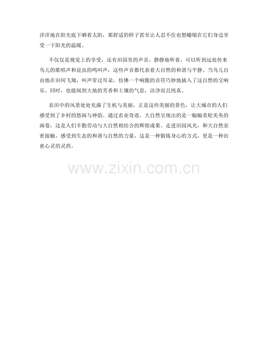 悠闲的田园风光与农业奇迹.docx_第2页