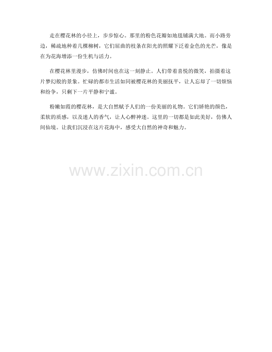 粉嫩如霞的樱花林.docx_第2页