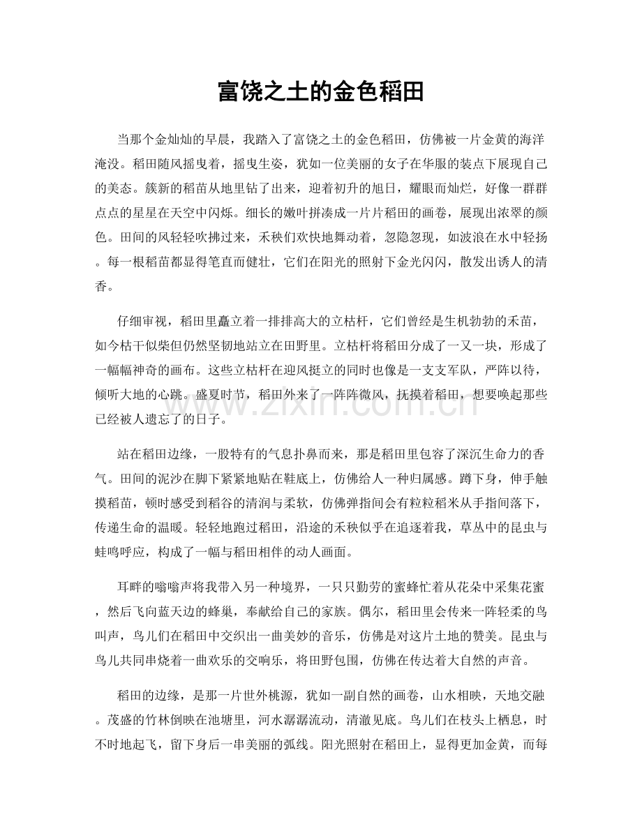 富饶之土的金色稻田.docx_第1页
