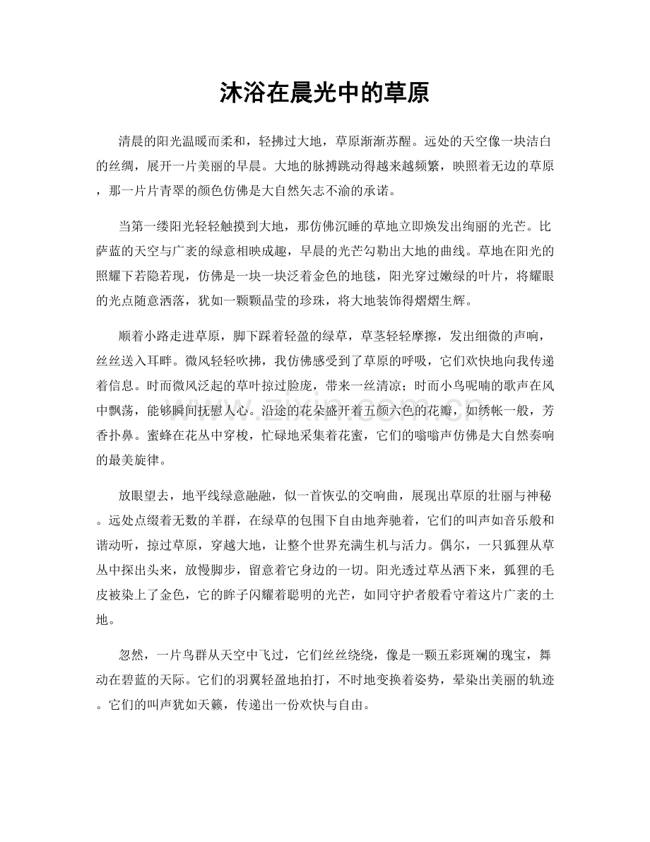 沐浴在晨光中的草原.docx_第1页