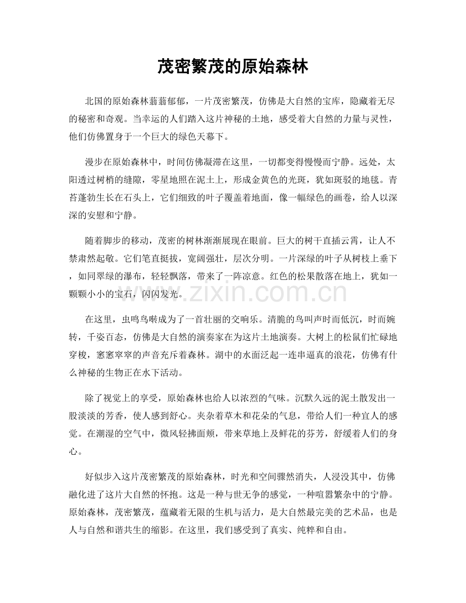 茂密繁茂的原始森林.docx_第1页
